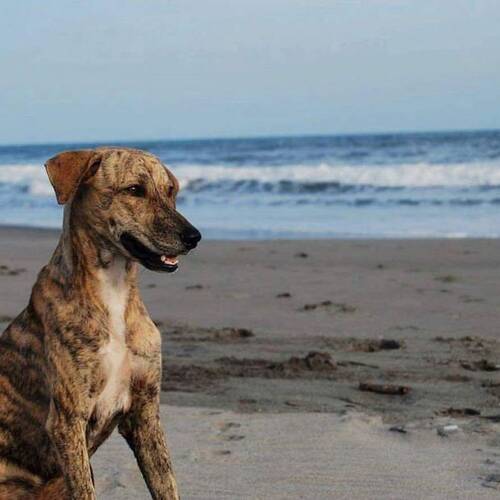 Foto extra 1