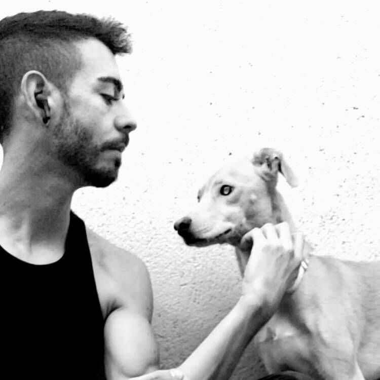Foto de perfil de cuantosinsentido