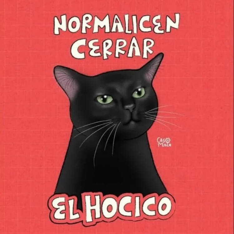 Foto de perfil de Vanesa