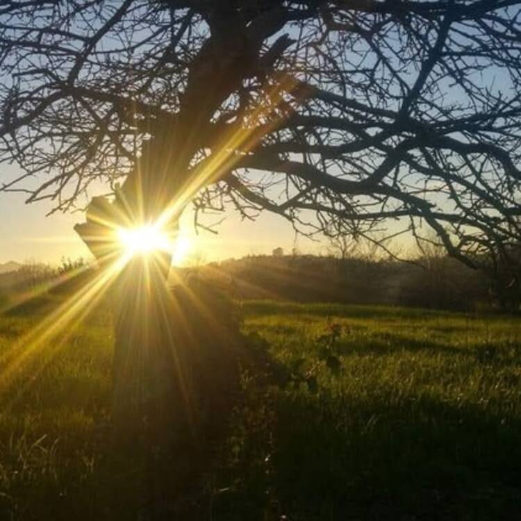 Foto de perfil de Juanjo